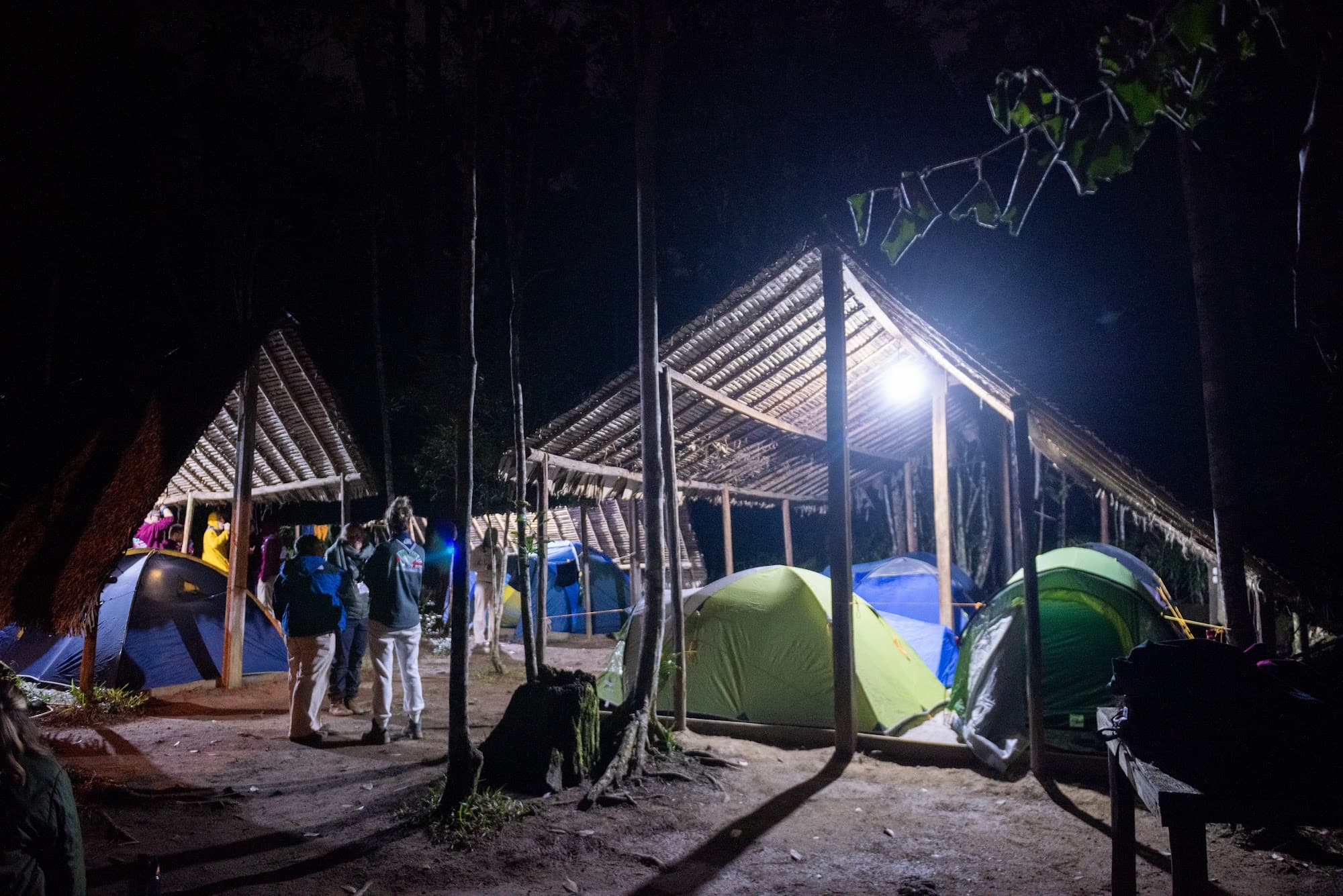 Camp scout de nuit